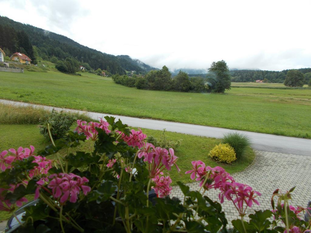 Apartment Rozika Slovenj Gradec Exterior foto