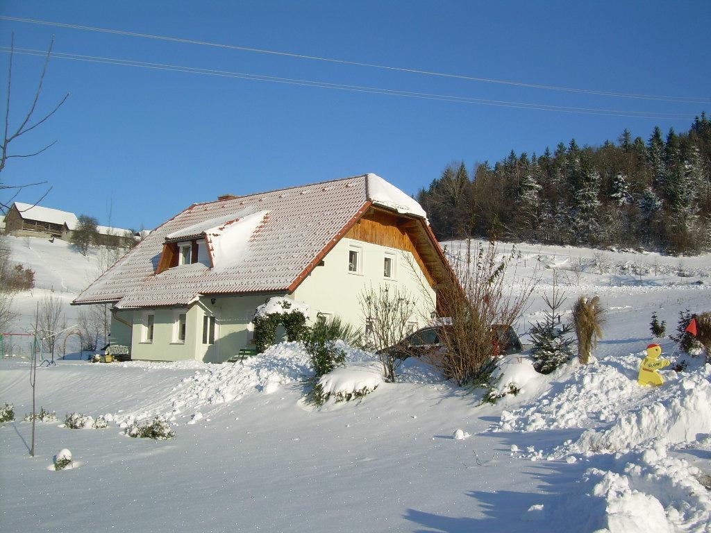 Apartment Rozika Slovenj Gradec Exterior foto
